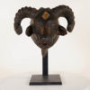 African Ram Mask 14"