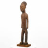 Mangbetu Male Statue - DR Congo