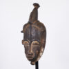 Attractive Baule Mask 17" - Ivory Coast - African Art