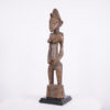 Senufo Female Figure on Base 22.5" - Ivory Coast - African Tribal Art