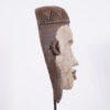 Two-Toned Bakongo Yombe Mask 12.5" - DRC - African Art
