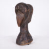 Dan Janus Bird African Headcrest 12.5" - Ivory Coast - Tribal Art